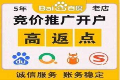 某品牌SEM广告的蜕变——代运营公司的力量